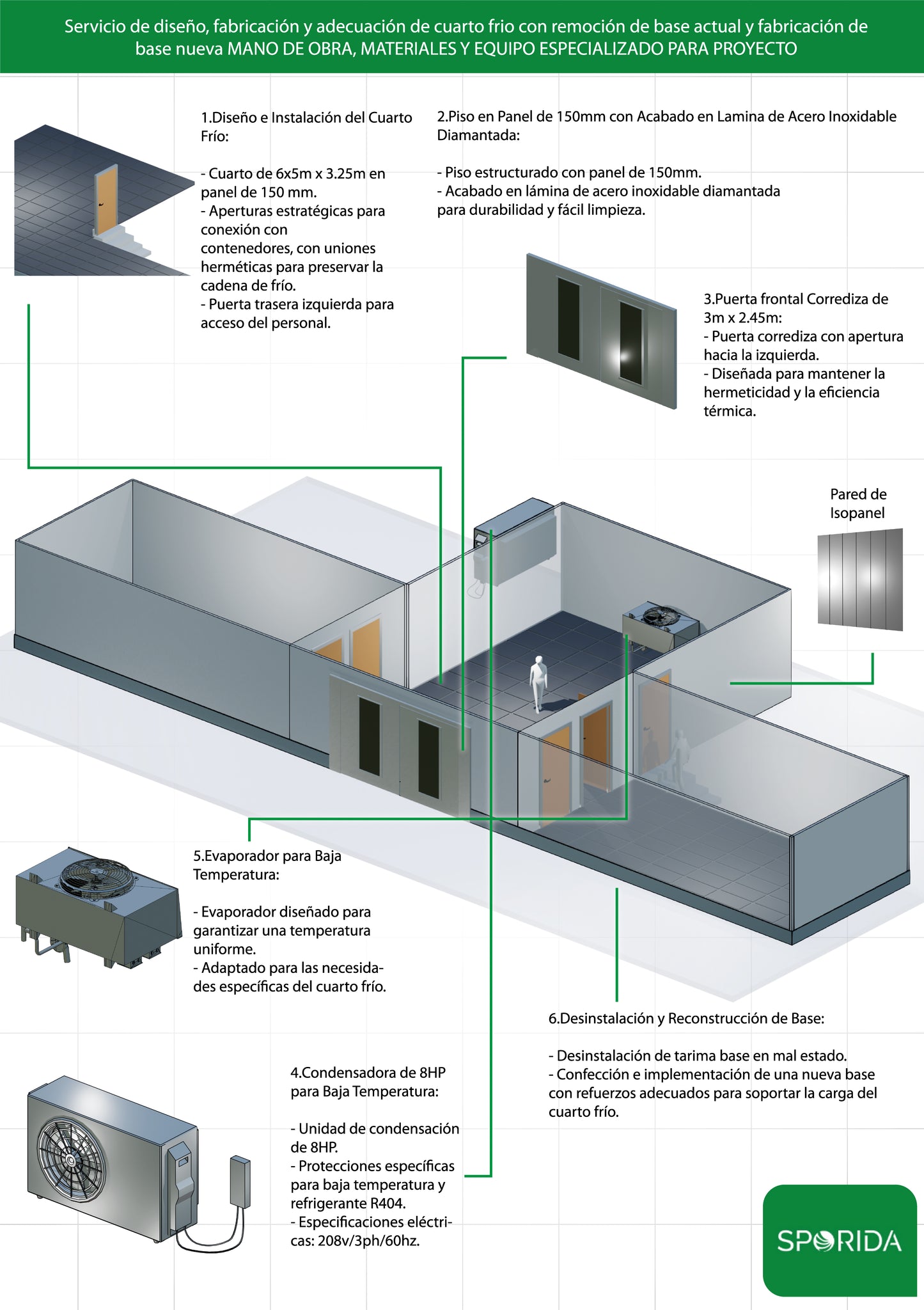 Custom Infographic Design