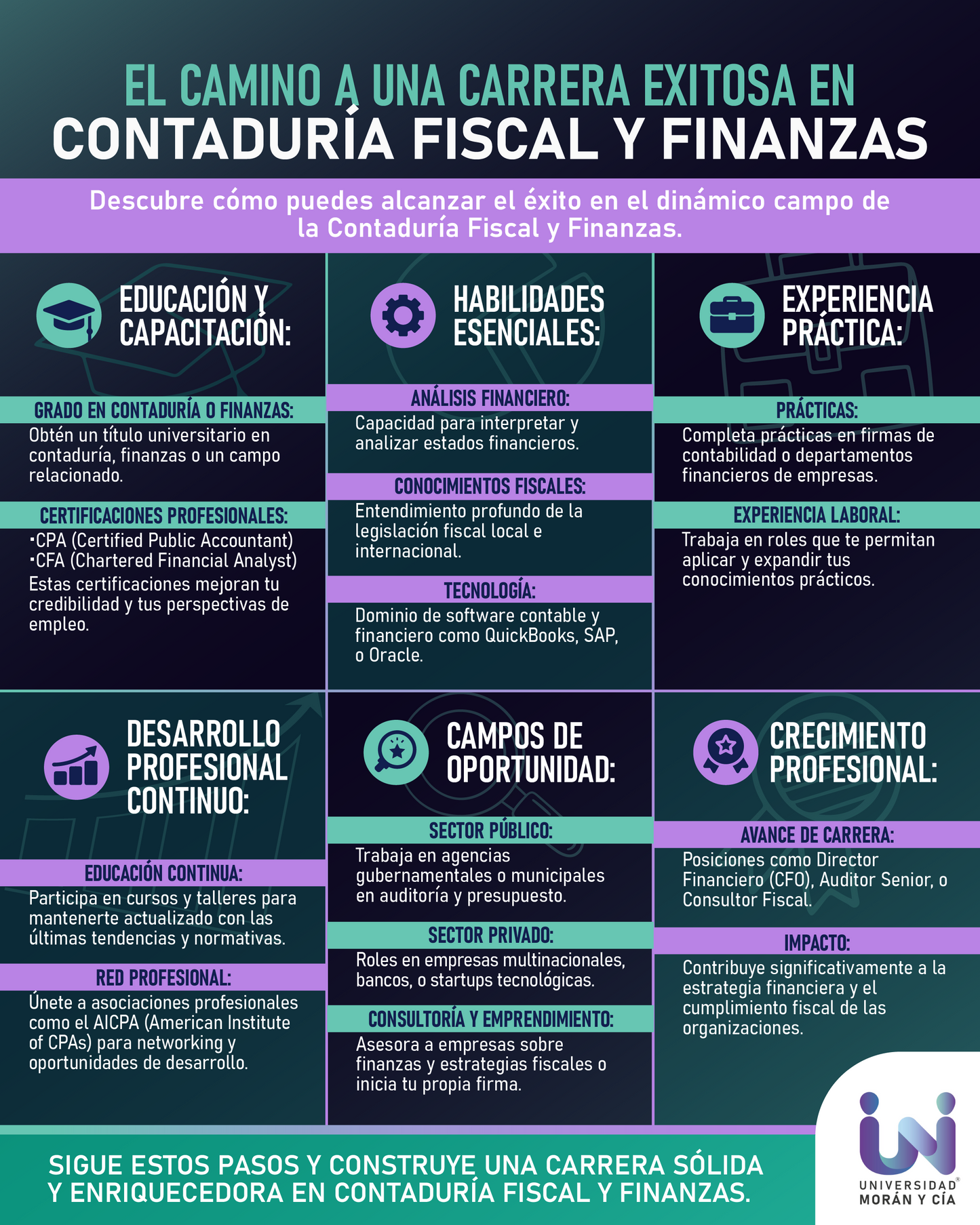 Custom Infographic Design
